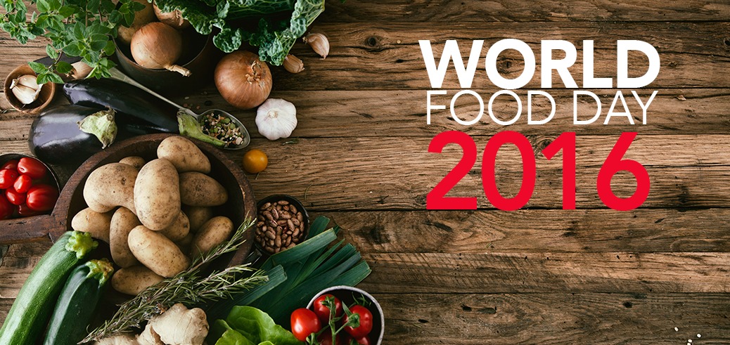 Around the World in 5 Plates – A Guide to Celebrate World Food Day