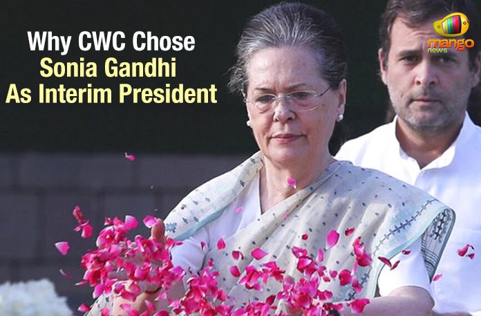 Why CWC Chose Sonia Gandhi As Interim President