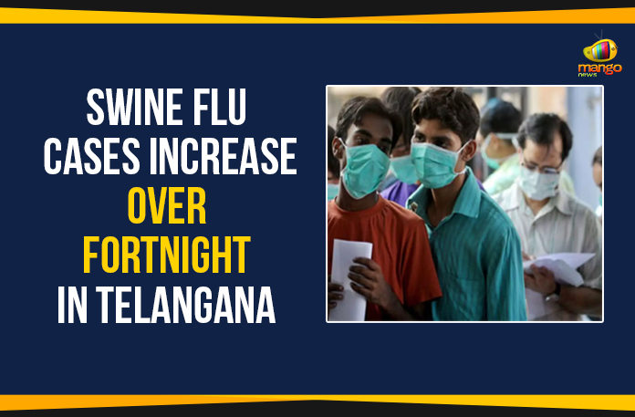 Swine Flu Cases Increase Over Fortnight In Telangana