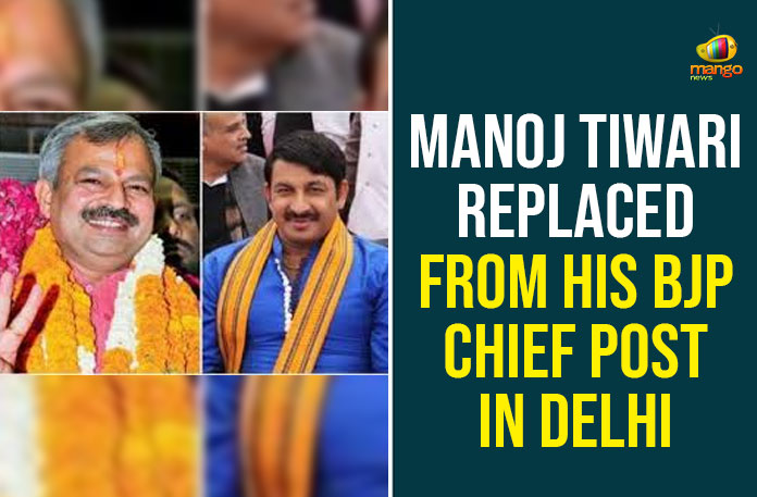 Manoj Tiwari Replaced From His BJP Chief Post In Delhi