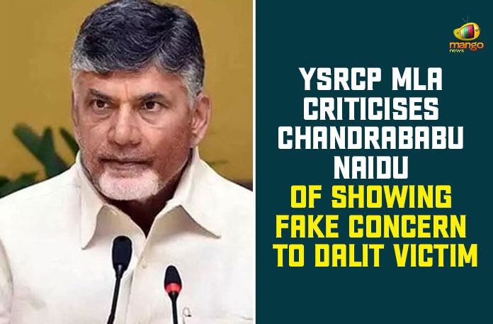 YSRCP MLA Criticises Chandrababu Naidu Of Showing Fake Concern To Dalit Victim