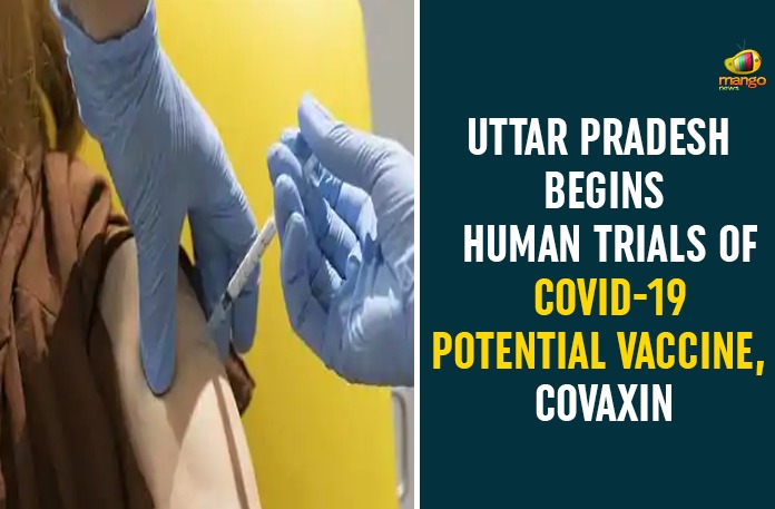Bharat Biotech COVAXIN, Coronavirus COVAXIN, Coronavirus Vaccine COVAXIN, COVAXIN, Covaxin Medical Dose, COVAXIN Trials, COVID-19 Potential Vaccine, Uttar Pradesh, Uttar Pradesh Begins Human Trials Of COVID-19 Potential Vaccine