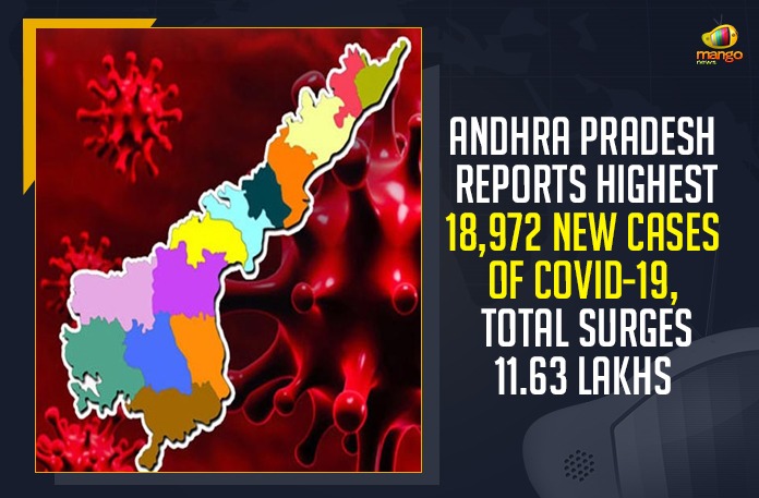 Andhra Pradesh Reports Highest 18,972 New Cases Of COVID-19, Total Surges 11.63 Lakhs