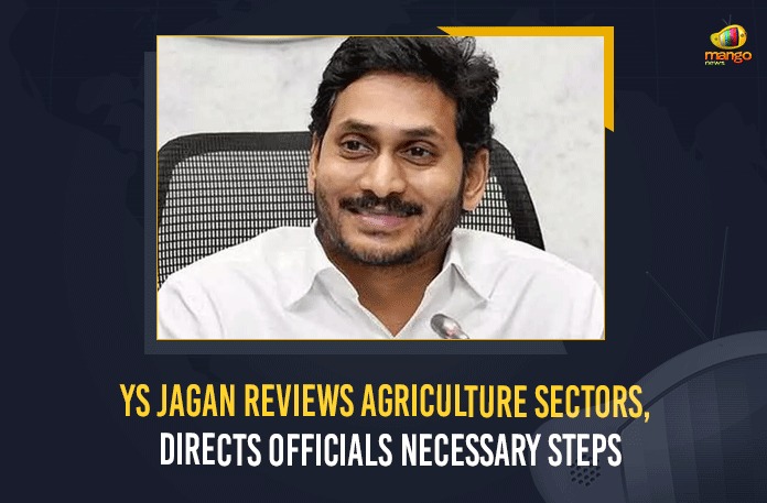 Agriculture Department, Anantapur, AP Agriculture Sectors Directs Officials Necessary Steps, AP Chief Minister, AP CM YS Jagan reviews agriculture sector in the state, AP Department of Agriculture, Chief Minister YS Jagan Mohan Reddy, CM YS Jagan pitches for alternative crops, Department of Agriculture, Directs Officials Necessary Steps, Mango News, Prod farmers to take up millets, ys jagan, YS Jagan Reviews Agriculture Sectors, YS Jagan Reviews Agriculture Sectors Directs Officials Necessary Steps, YS Jagan reviews on Agriculture sector