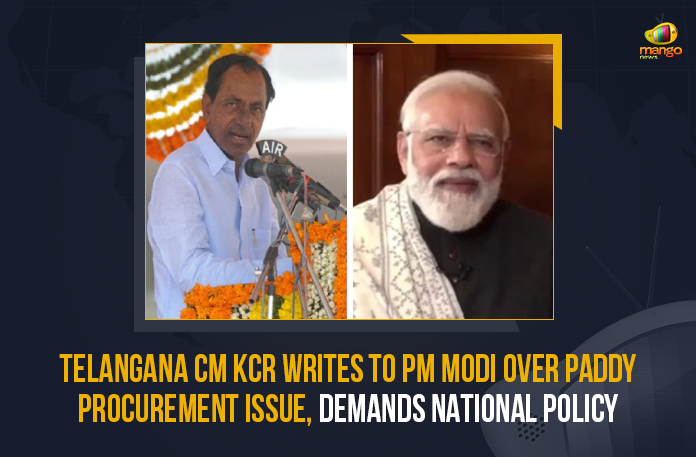 Telangana CM KCR Writes To PM Modi Over Paddy Procurement Issue Demands National Policy, CM KCR Writes Letter To PM Narendra Modi About Paddy Procurement in Telangana, KCR Writes Letter To PM Narendra Modi About Paddy Procurement in Telangana, Telangana CM KCR Writes Letter To PM Narendra Modi About Paddy Procurement in Telangana, Telangana CM KCR Writes Letter To PM Narendra Modi, Paddy Procurement in Telangana, Telangana Paddy Procurement, Paddy Procurement, Paddy Procurement Latest News, Paddy Procurement Latest Updates, Paddy Procurement Live Updates, PM Narendra Modi, PM Modi, Narendra Modi, Prime Minister of India, Narendra Modi Prime Minister of India, Telangana CM KCR, CM KCR, K Chandrashekar Rao, Chief minister of Telangana, K Chandrashekar Rao Chief minister of Telangana, Telangana Chief minister, Telangana Chief minister K Chandrashekar Rao, Telangana, Mango News,