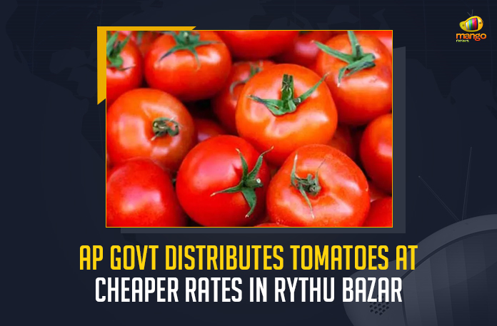 AP Govt Distributes Tomatoes At Cheaper Rates In Rythu Bazar, Govt Distributes Tomatoes At Cheaper Rates In Rythu Bazar, YSRCP Govt Distributes Tomatoes At Cheaper Rates In Rythu Bazar, AP Govt Distributes Tomatoes At Cheaper Rates, YSRCP Govt Distributes Tomatoes At Cheaper Rates, Tomatoes At Cheaper Rates In Rythu Bazar, Rythu Bazar, Tomatoes At Cheaper Rates, Andhra Pradesh Government decided to provide the tomatoes at a cheaper rate, Andhra Pradesh government has embarked on a program to reduce the price of high-priced tomatoes, AP faces shortage of tomatoes, Tomatoes, Andhra Pradesh government, Mango News,