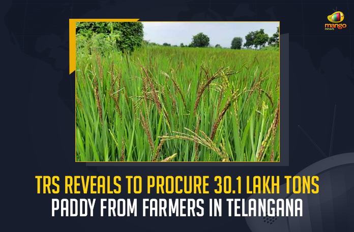 TRS Reveals To Procure 30.1 Lakh Tons Paddy From Farmers In Telangana