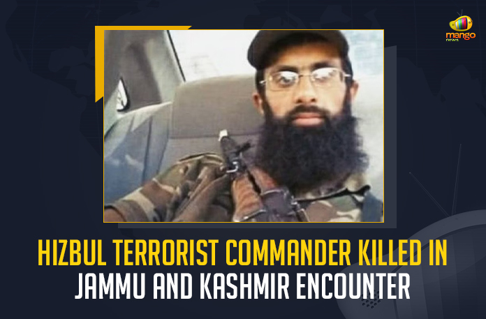 Hizbul Terrorist Commander Killed In Jammu And Kashmir Encounter