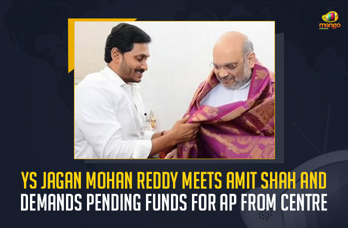 YS Jagan Mohan Reddy Meets Amit Shah And Demands Pending Funds For AP