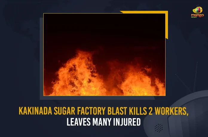 Kakinada Sugar Factory Blast Kills 2 Workers, Leaves Many Injured