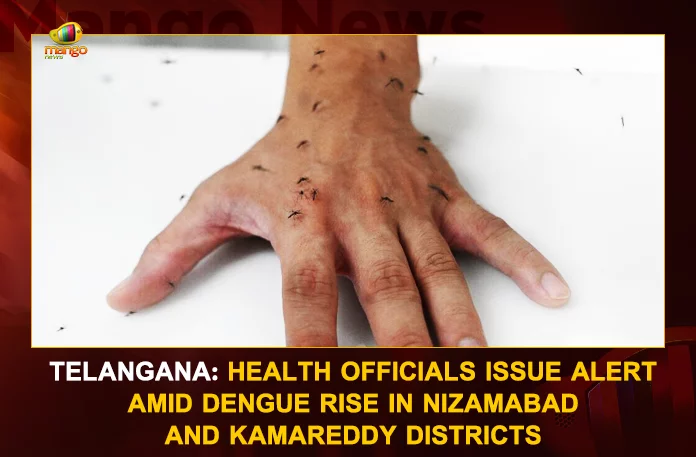 Telangana Health Officials Issue Alert Amid Dengue Rise In Nizamabad And Kamareddy Districts, Health Officials Issue Alert, Telangana Health Officials, Telangana Health Officials Issue Alert, Telangana Dengue Rise, Health Officials Alert on Dengue Rise, Mango News, Mango News Telugu, Dengue Rise In Nizamabad, Dengue Rise In Kamareddy, Dengue Rise In Telangana Districts, Dengue Rise In Hyderabad, Dengue Fever, Telangana Health Latest News And Updates