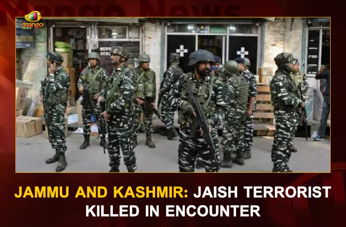 Jammu And Kashmir: Jaish Terrorist Killed In Encounter