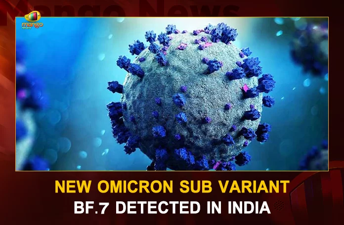 New Omicron Sub Variant BF.7 Detected In India, New Omicron Sub Variant In India, Omicron Sub Variant Detected, Omicron Sub Variant, Mango News,Mango News Telugu, New Omicron Sub Variant BF.7, Omicron Sub Variant BF.7, COVID19 Cases In India, Carona Live Updates, Covid19 News And Latest Updates, Covid19 Vaccine, COVID New Variant, Booster Dose, India COVID News, Omicron Sub Variant, Omicron, Omicron Variant, Omicron Latest News And Updates