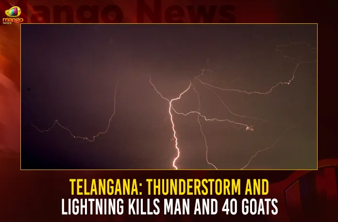Telangana: Thunderstorm And Lightning Kills Man And 40 Goats