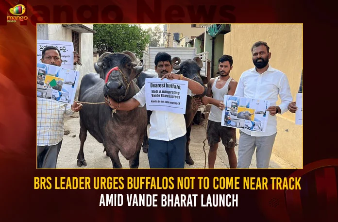 BRS Leader Urges Buffalos Not To Come Near Track Amid Vande Bharat Launch