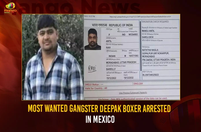 Most Wanted Gangster Deepak Boxer Arrested In Mexico,Most Wanted Gangster Arrested,Gangster Deepak Boxer Arrested,Deepak Boxer Arrested In Mexico,Mango News,Most Wanted Gangster Deepak Boxer Brought To Delhi,Most Wanted Gangster Arrested In Mexico,In Its First Overseas Arrest of a Gangster,Delhi's Most Wanted Gangster Arrested In Mexico,Citys Wanted Gangster Deepak Boxer Arrested,Gangster Deepak Boxer Latest News,Gangster Deepak Boxer Latest Updates,Gangster Deepak Boxer Live News