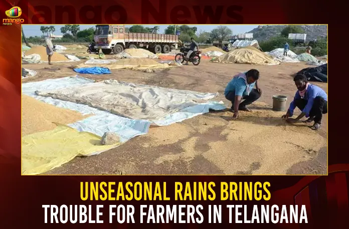 Unseasonal Rains Brings Trouble For Farmers In Telangana,Unseasonal Rains Brings Trouble,Trouble For Farmers In Telangana,Unseasonal Rains In Telangana,Mango News,Farmers Huge Crop Losses,Telangana farmers in trouble after unseasonal rains destroy,Hyderabad News,Telangana Farmers Suffer Crop Damage,Telangana News,Telangana News Live,Telangana News Rain,Hailstorms wreak havoc in parts,Telangana News Today,Telangana Unseasonal Rains Latest News,Telangana Unseasonal Rains Live News,Farmers Huge Crop Losses