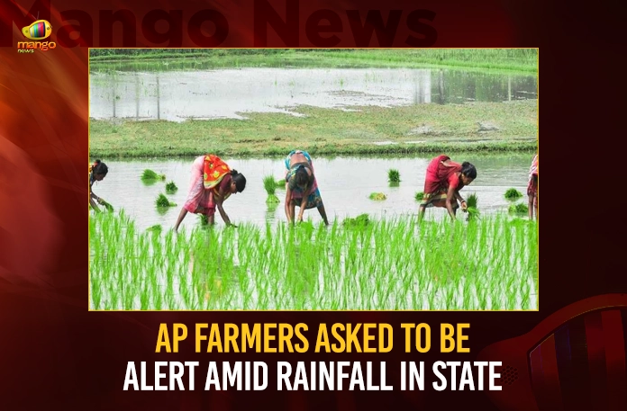 AP Farmers Asked To Be Alert Amid Rainfall In State,AP Farmers Asked To Be Alert,Rainfall In State AP,Farmers Alert Amid Rainfall,Mango News,AP Rainfall Alert,AP Farmers Rainfall Alert,Andhra Pradesh Latest News,Andhra Pradesh News,Andhra Pradesh News and Live Updates,AP Rainfall Alert Latest News,AP Rainfall Alert Latest Updates,AP Rainfall Alert Live News,AP Rainfall News Today