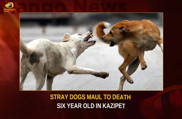 Telangana Stray Dogs Maul To Death Six Year Old Child In Kazipet,Telangana Stray Dogs Maul Child,Dogs Maul To end Six Year Old Child,Six Year Old Child In Kazipet,Six Year Old Child Passed Away,Mango News,Six Year Old Child Passes by Stray Dogs,6 Year Old Boy Fatally Attacked,Boy killed in stray dog attack,Repeat of Bagh Amberpet horror,Atrocious in Kazipet,Boy passed away in stray dog attack,Kazipet Stray Dogs Latest News,Telangana Stray Dogs Latest News,Telangana Stray Dogs News Today,Kazipet Latest News and Updates