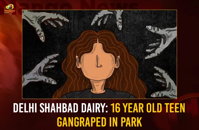 Delhi Shahbad Dairy: 16 Year Old Teen Gangraped In Park