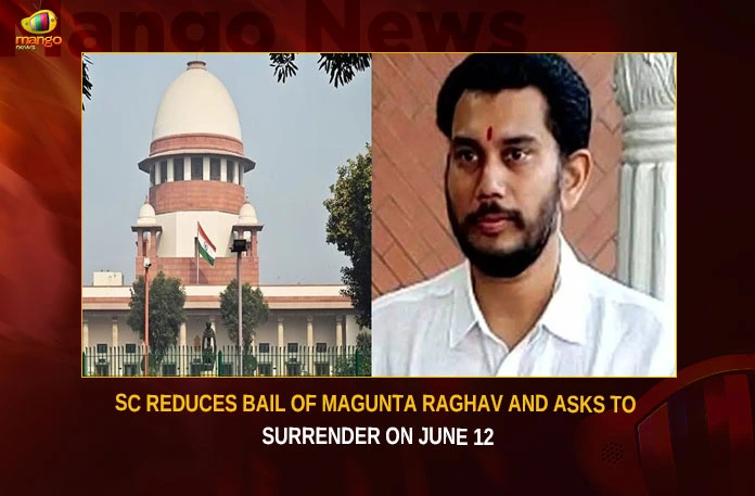 SC Reduces Bail Of Magunta Raghav And Asks To Surrender On June 12