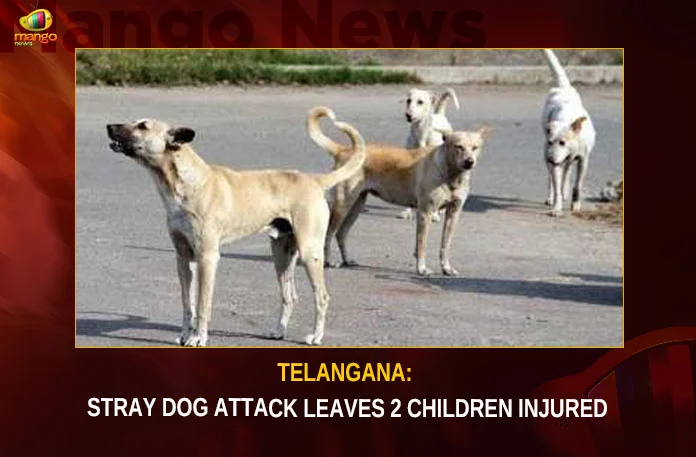 Telangana Stray Dog Attack Leaves 2 Children Injured,Telangana Stray Dog Attack,Dog Attack Leaves 2 Children Injured,Stray Dog Attack Leaves 2 Injured,Children Injured,Dog Attack Leaves Children Injured,Mango News,Telangana Stray Dog,Telangana Stray Dog Attack Latest News,Telangana Stray Dog Attack Latest Updates,Telangana Stray Dog Attack Live News,Stray Dog Attack News Today,Stray Dog Attack Latest News,Hyderabad News,Telangana News,Telangana Latest News And Updates