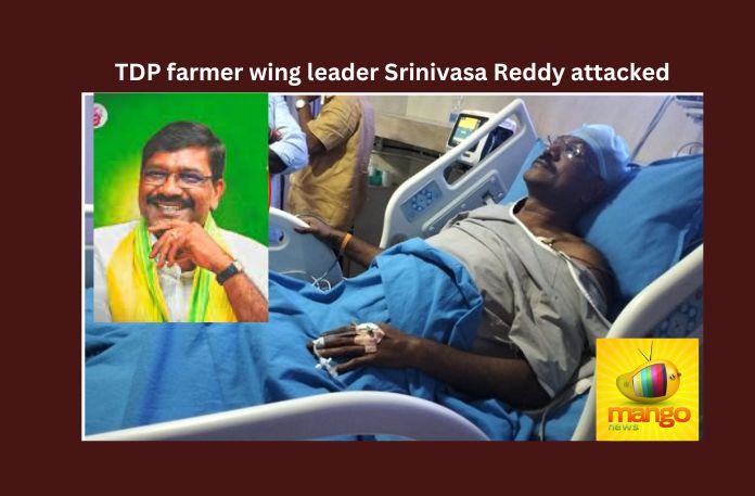 TDP farmer wing leader Srinivasa Reddy attacked