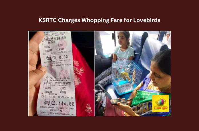 KSRTC Charges Whopping Fare for Lovebirds