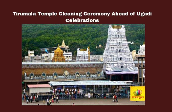 Tirumala Temple Cleaning Ceremony Ahead of Ugadi Celebrations, Tirumala Temple Cleaning Ceremony, Tirumala Temple Ugadi Celebrations, Ugadi Celebrations, Tirumala Temple, Latest Tirumala News, Cleaning Ceremony Tirumala Temple, Tirumala, Tirupati, Ugadi, Yedu kondalu, Thirupathi News, AP Live Updates, Andhra Pradesh, Mango News